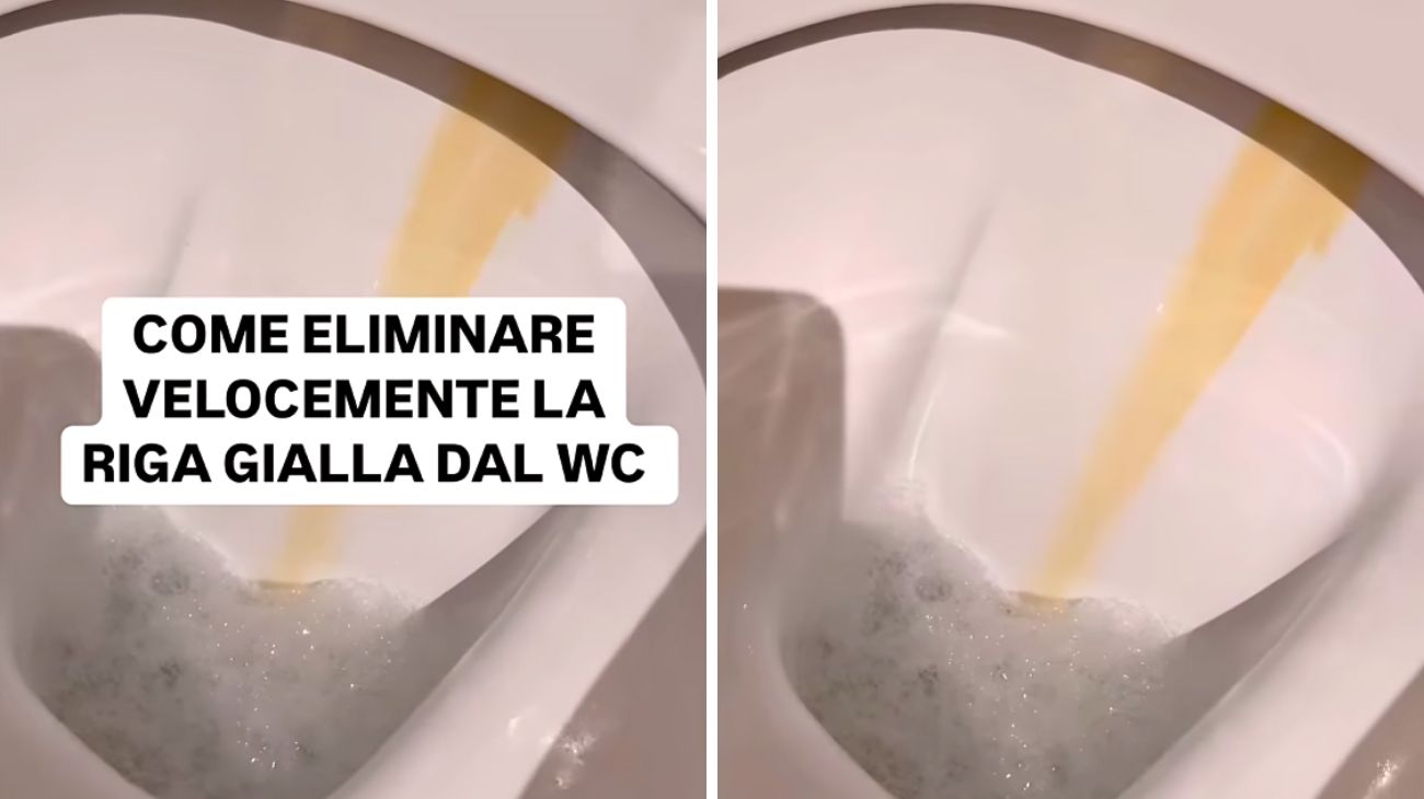 riga gialla wc
