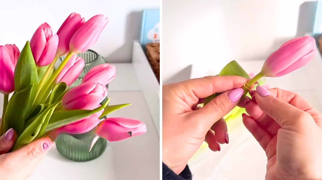 tulipani trucchi