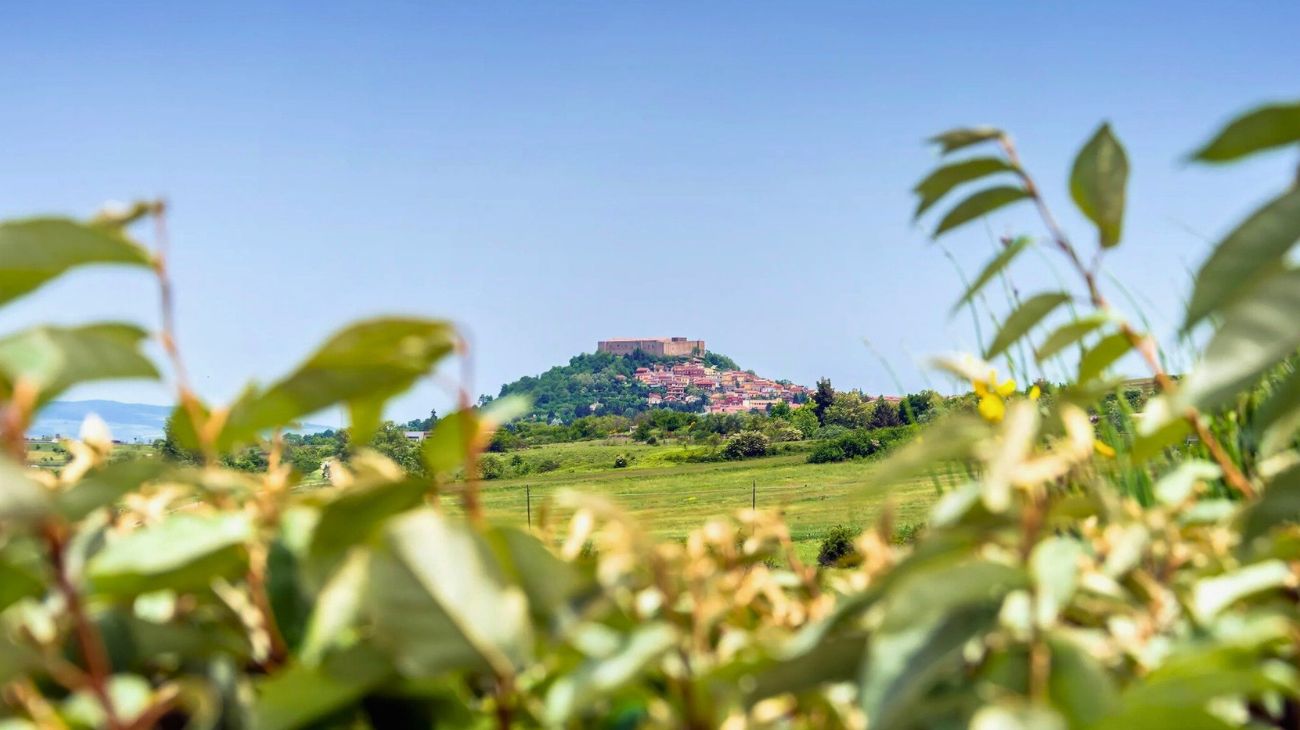 Basilicata concorso