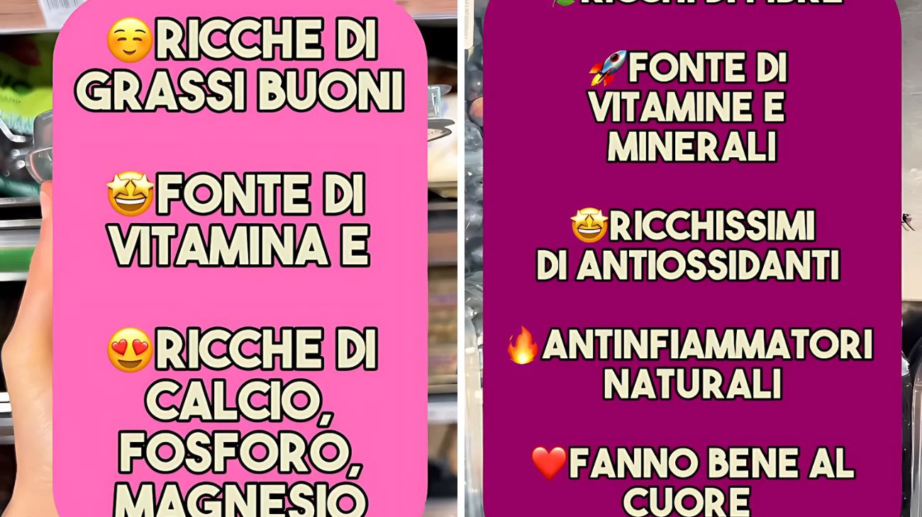 Cani gatti alimenti