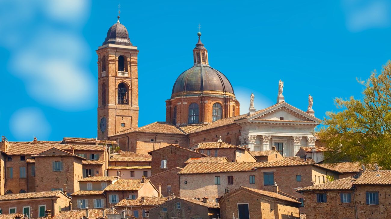 Concorso Marche