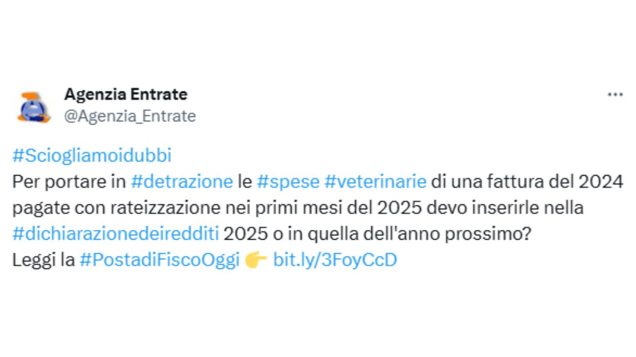 Spese veterinarie fattura