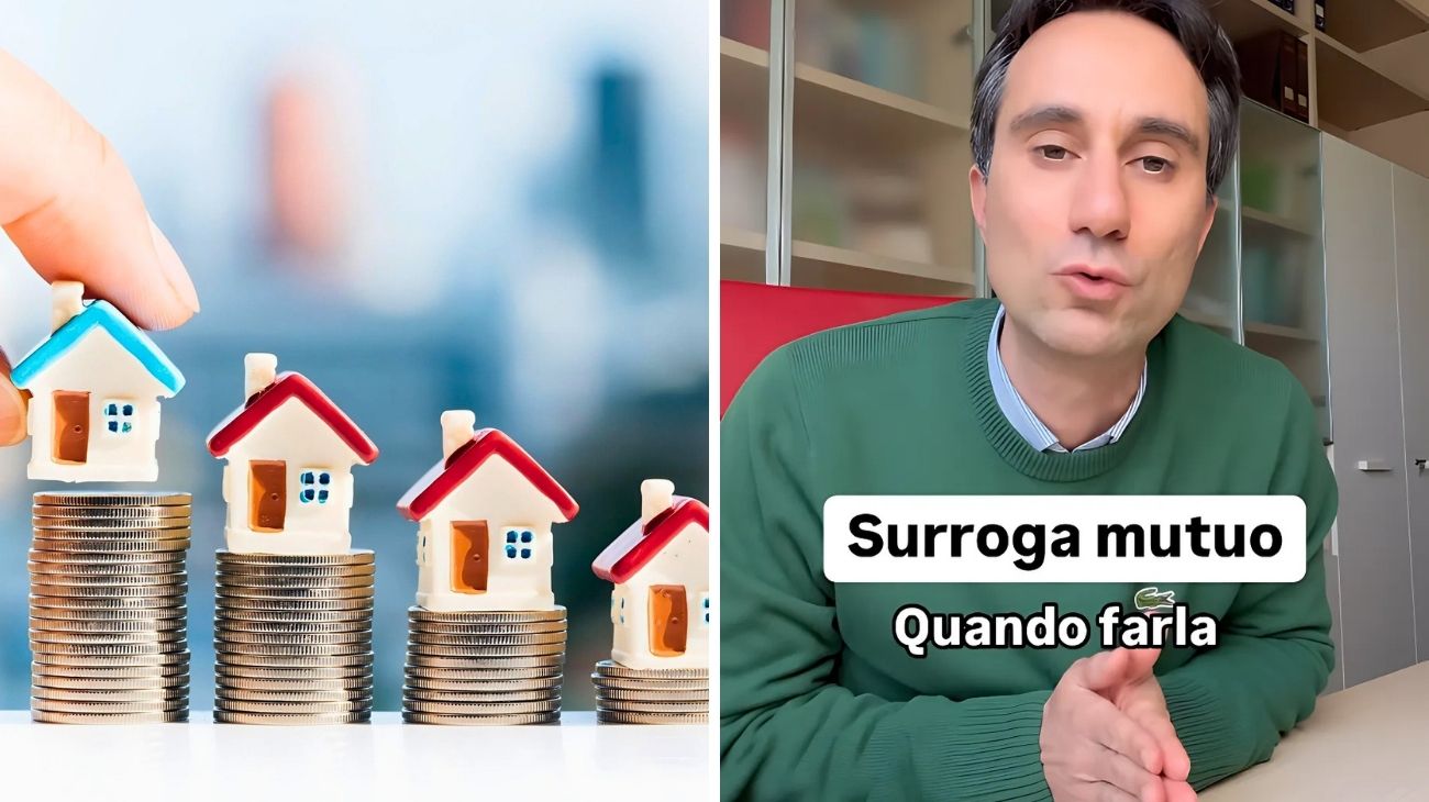 Surroga mutuo