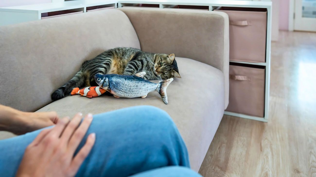 annuncio lavoro gatto
