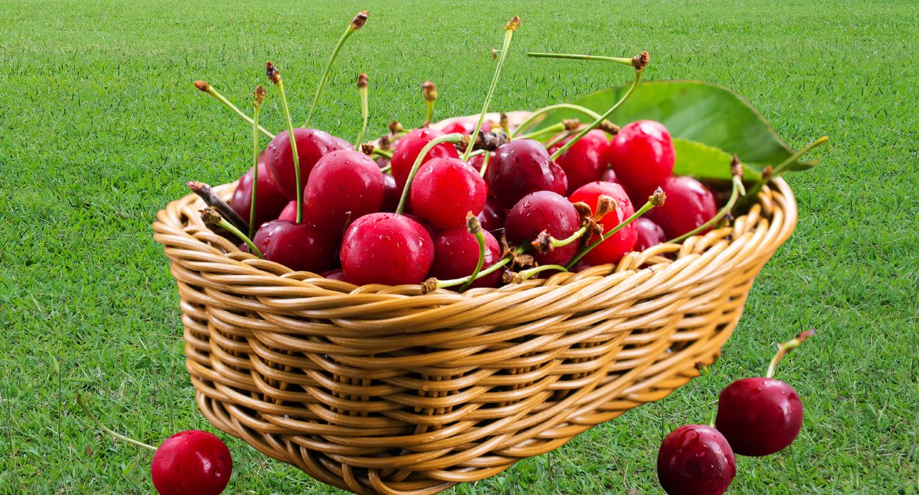 frutta maggio (1)