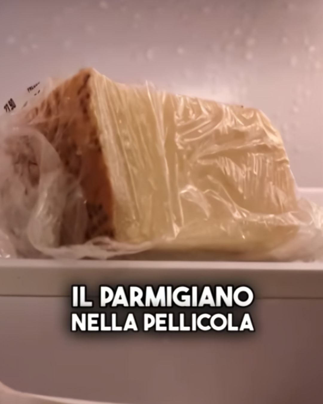 parmigiano frigo