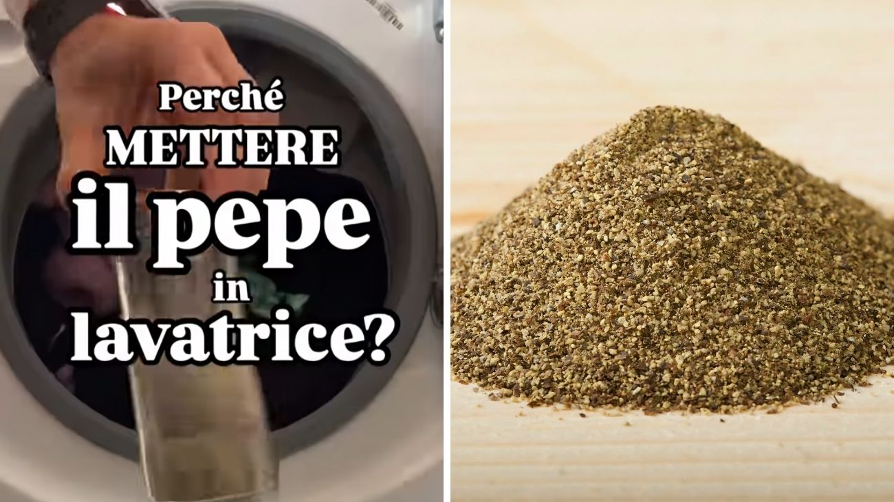 pepe lavatrice