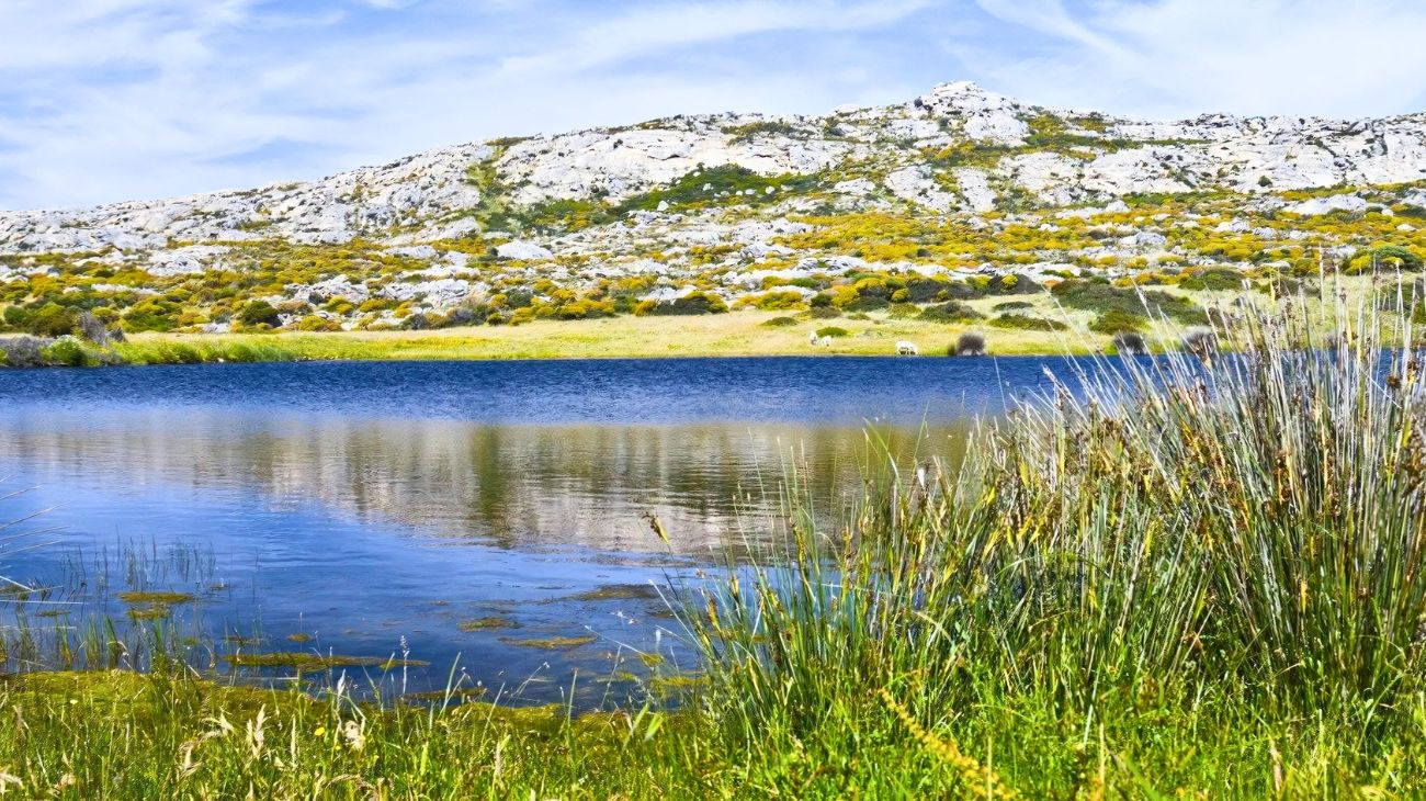 Isola dell'Asinara, in Sardegna