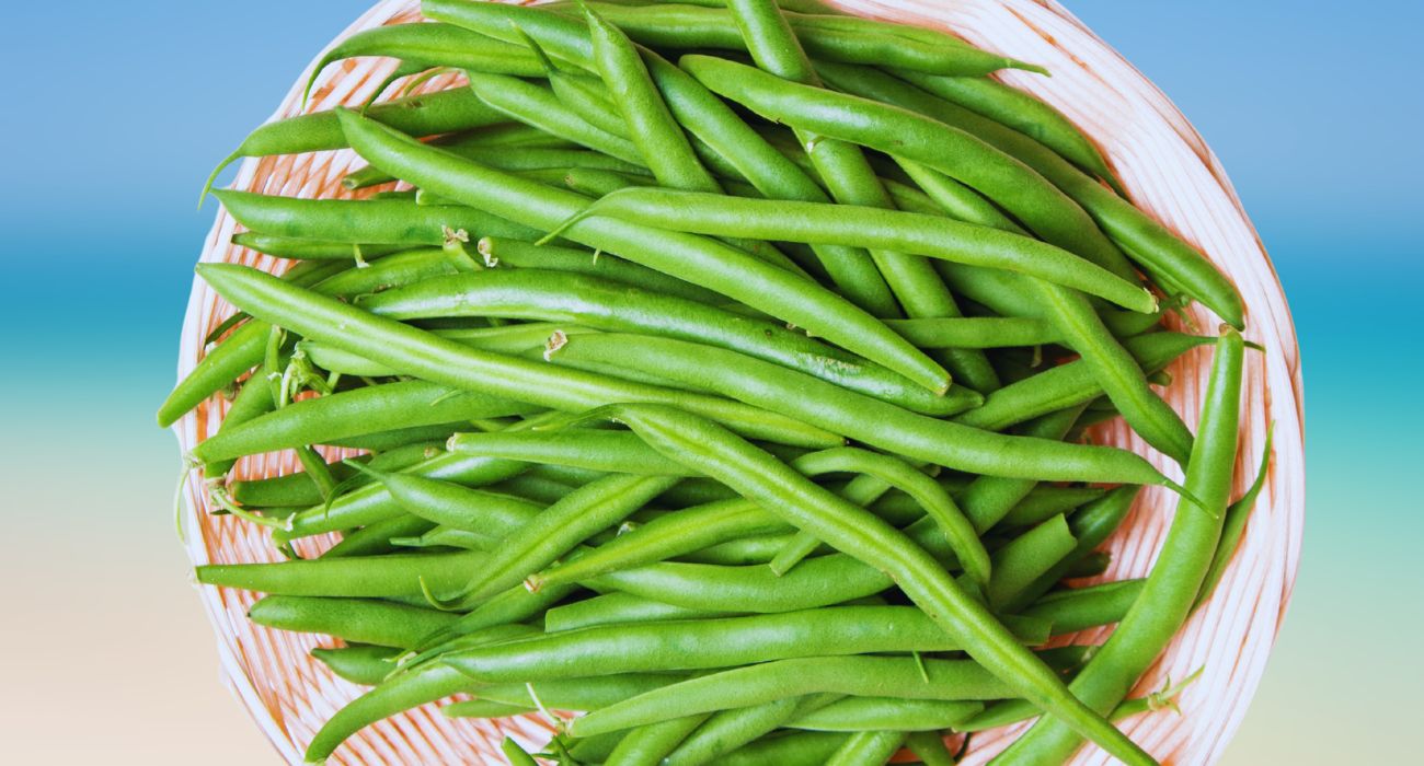 fagiolini
