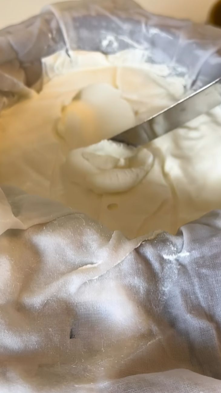 formaggio spalmabile