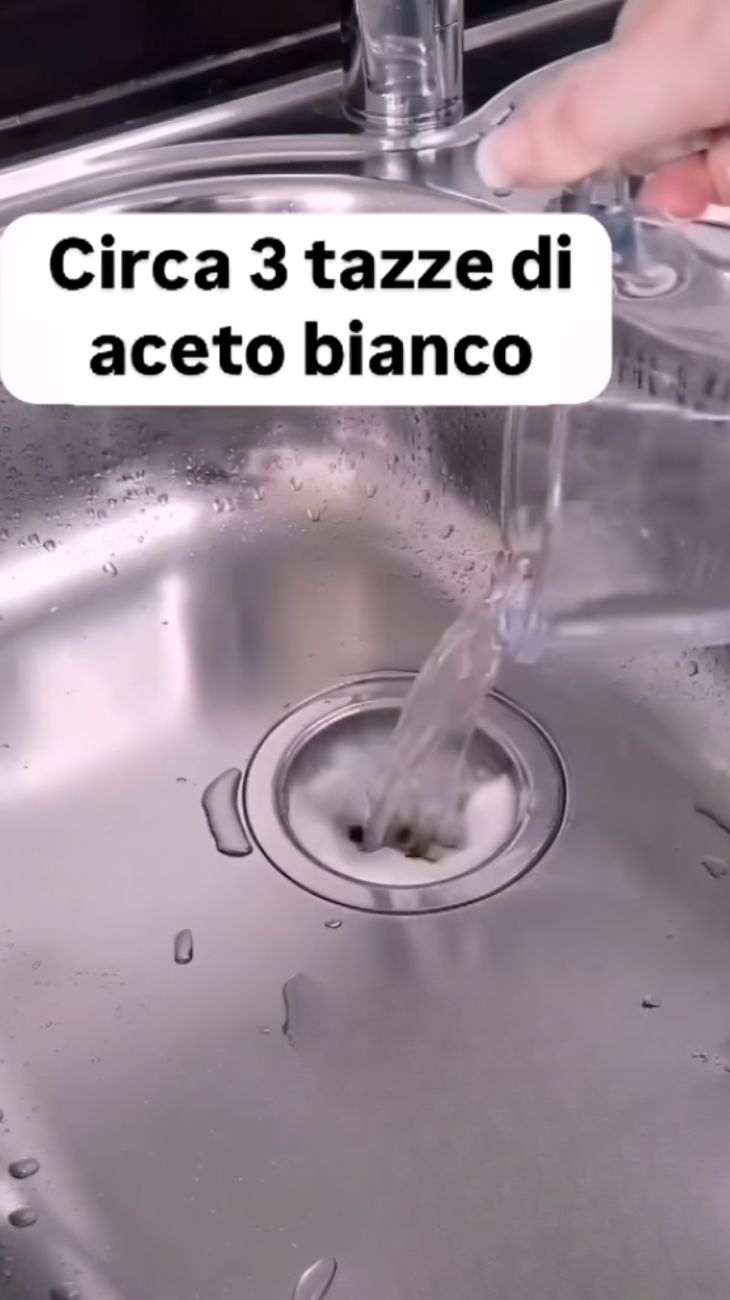 influencer lavandino
