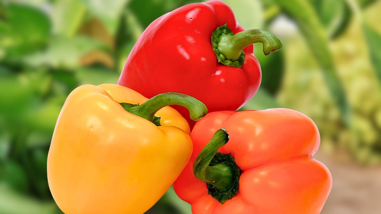 peperoni