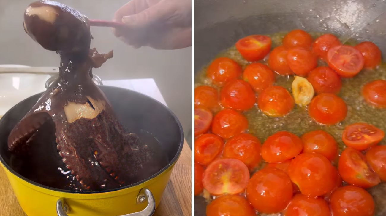 polpo sugo