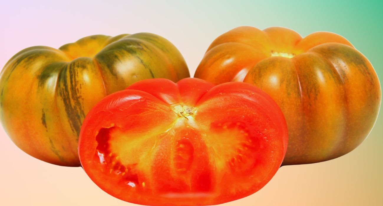 pomodoro 