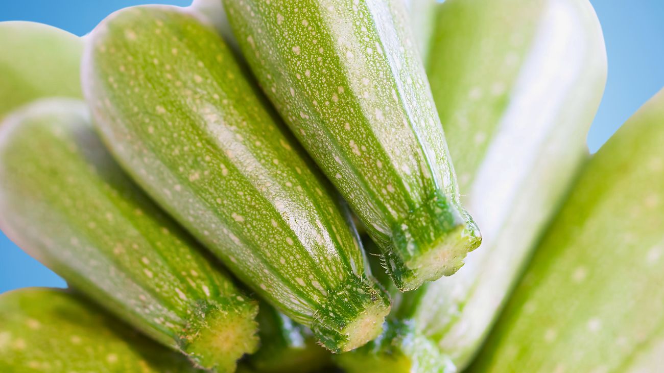 zucchine estate