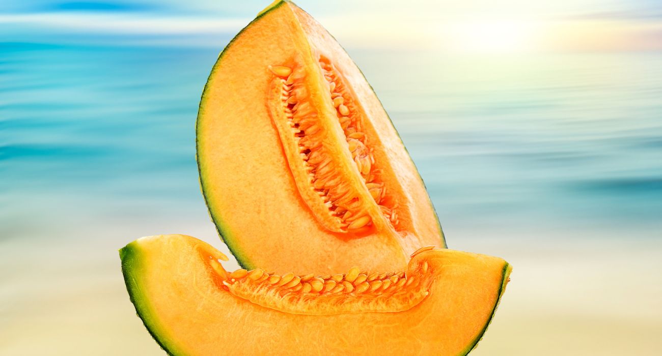Melone cantalupo (1)