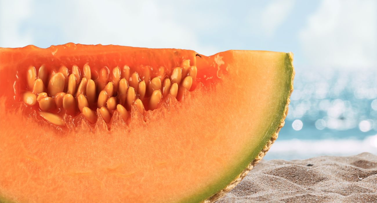 Melone cantalupo