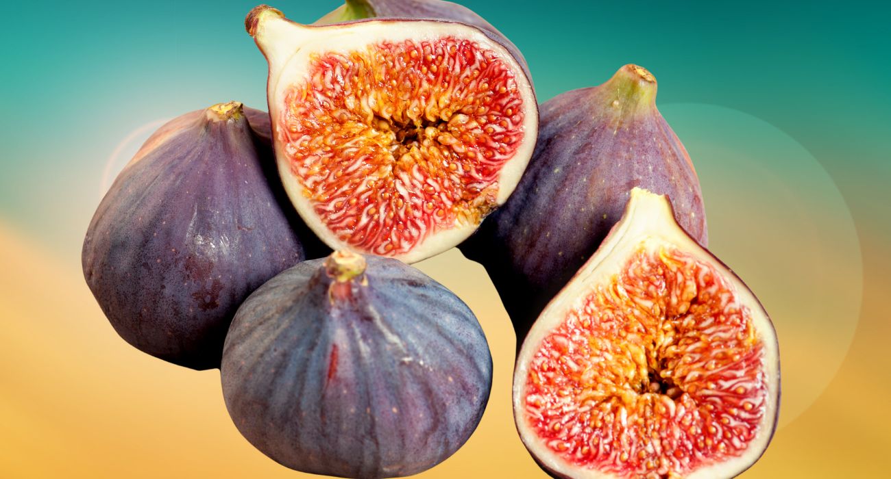 fichi