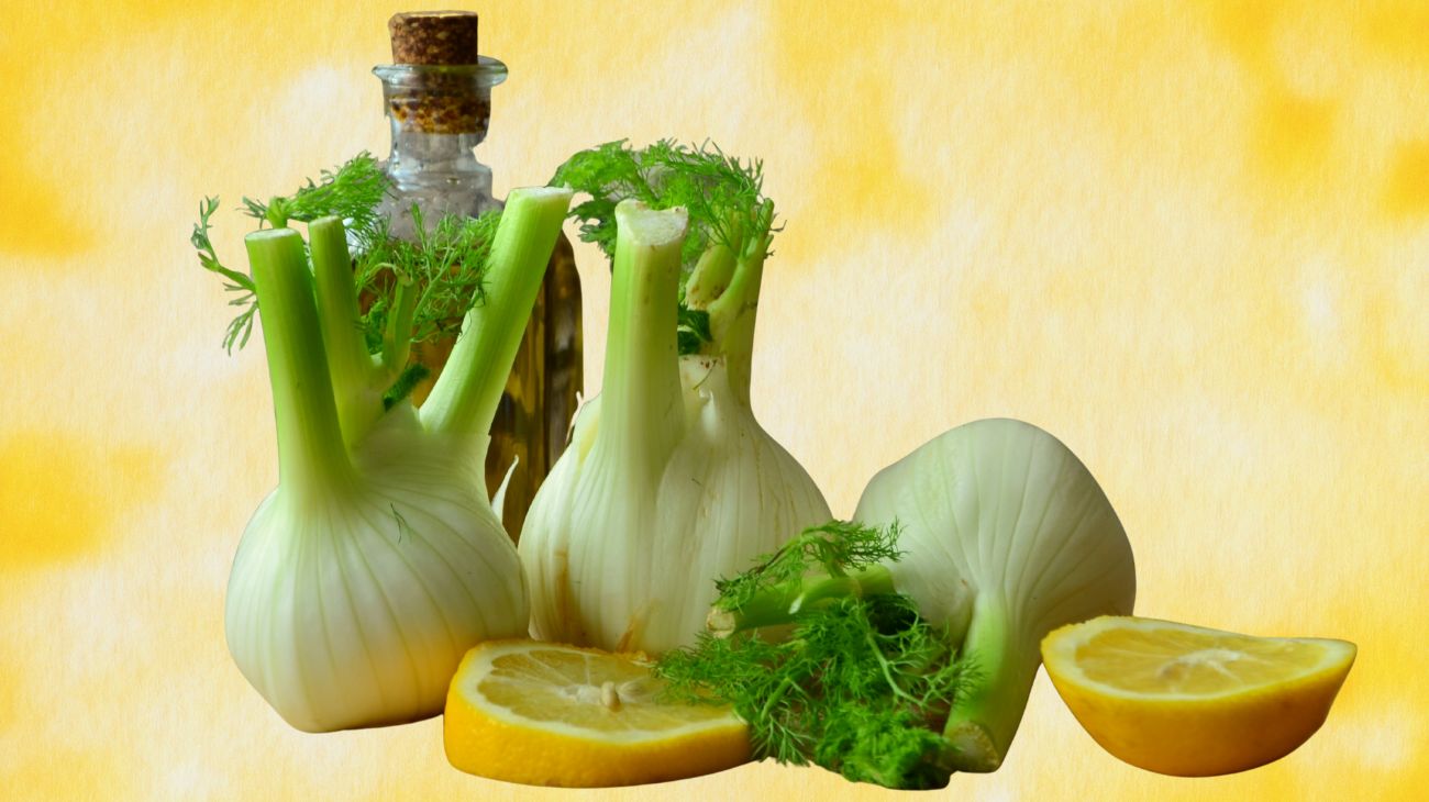 finocchio 