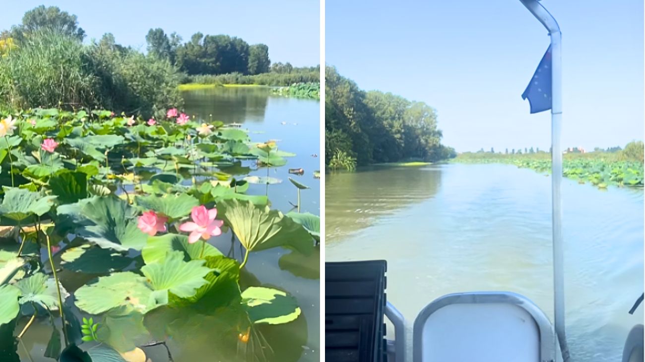 lago fiori