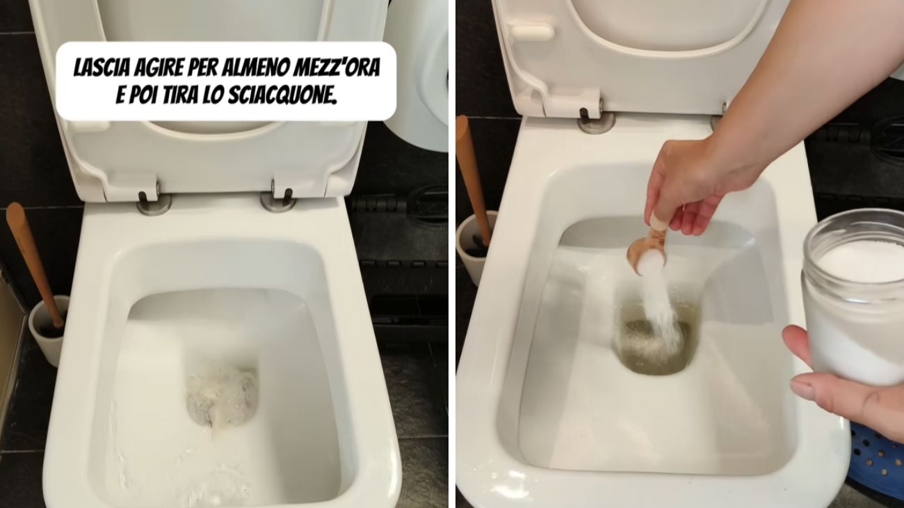 pulire il wc metodo esperta