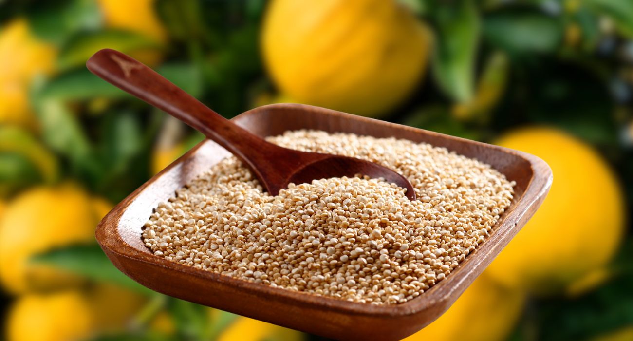 quinoa 