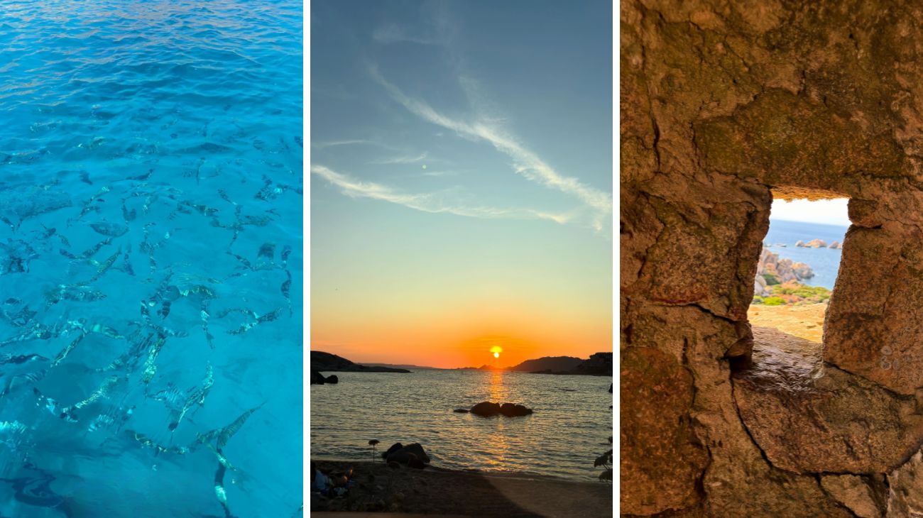 sardegna barbara ronchi