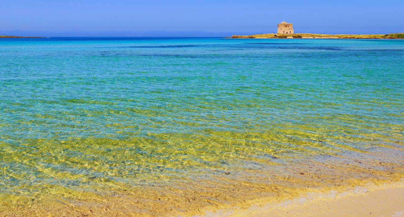 spiaggia conchiglie (4)