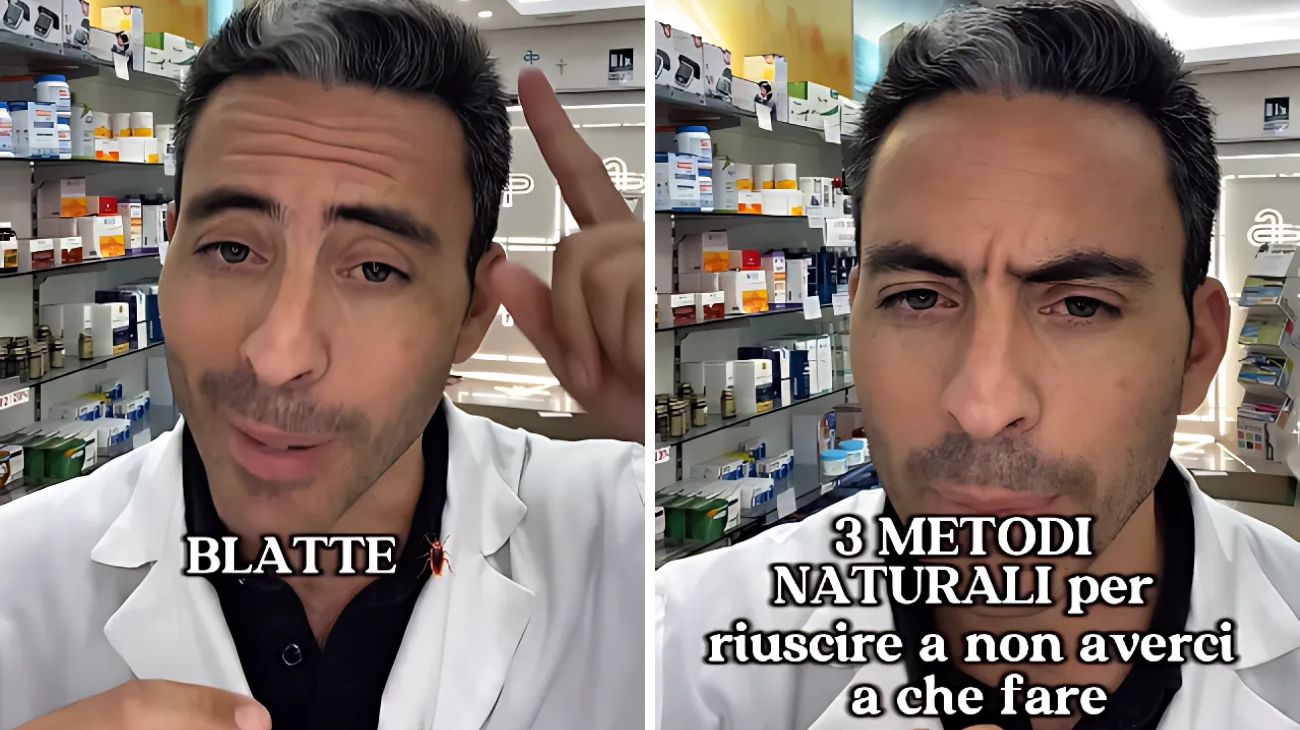 Blatte e scarafaggi
