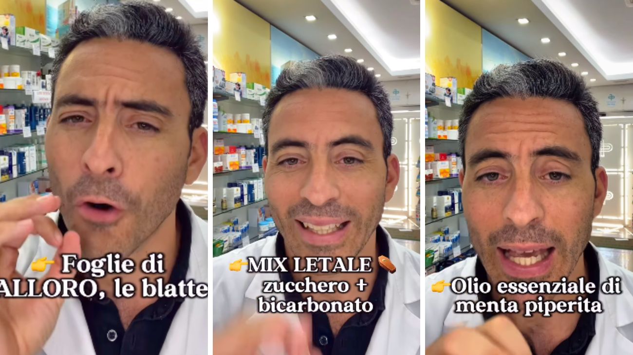 Blatte e scarafaggi