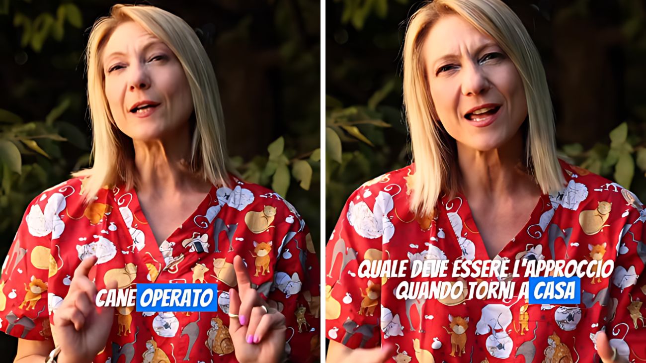 Cane operazione