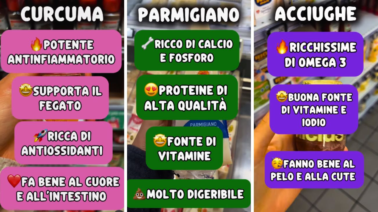 Cani e gatti alimenti