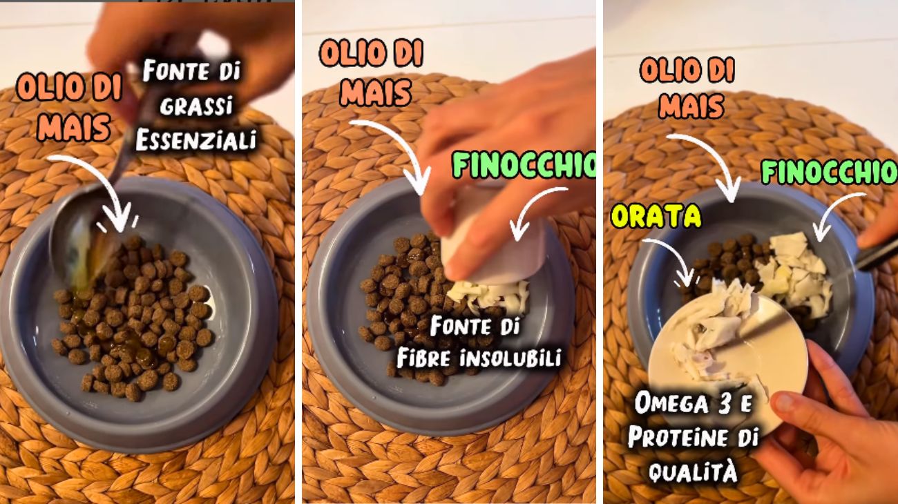 Cani e gatti crocchette