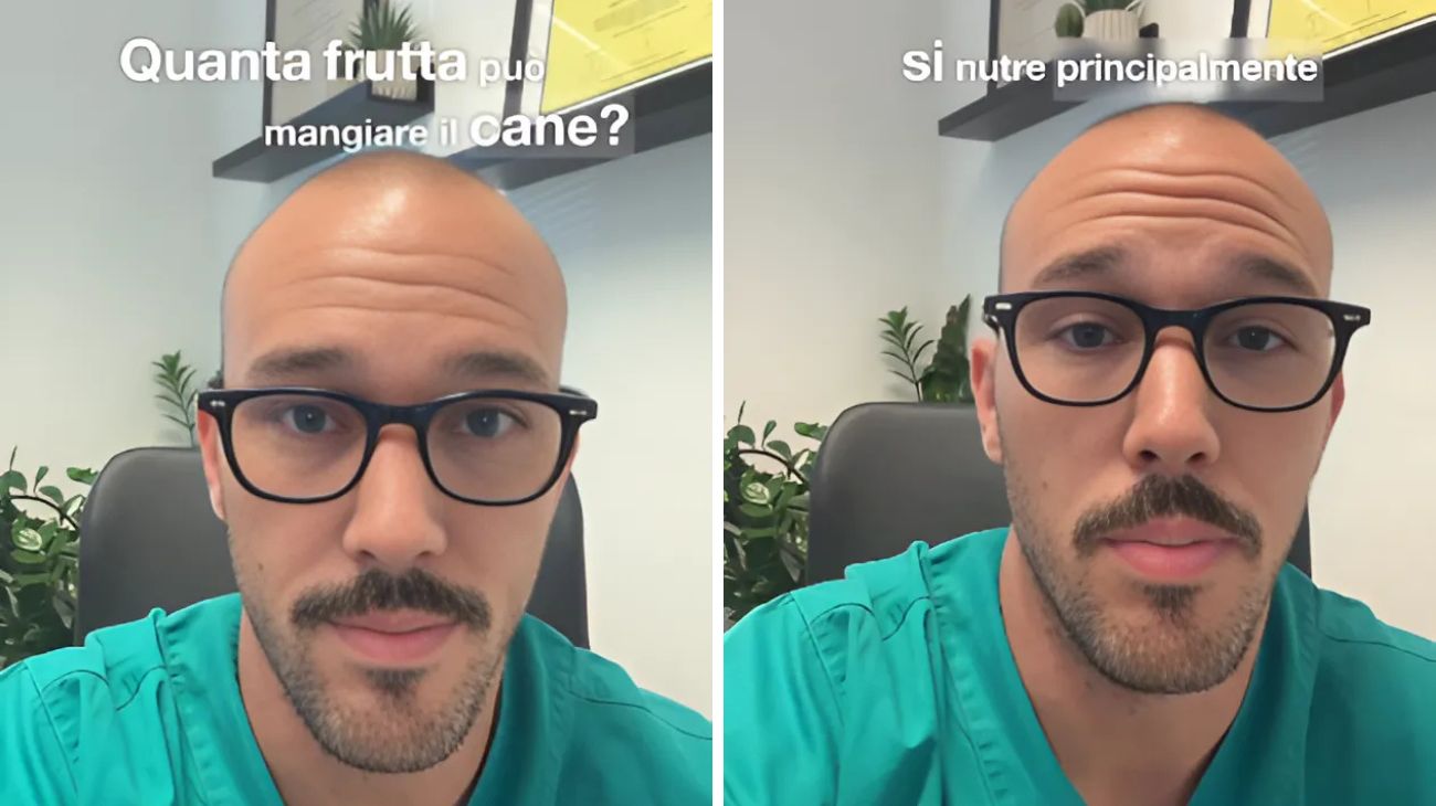Cani frutta