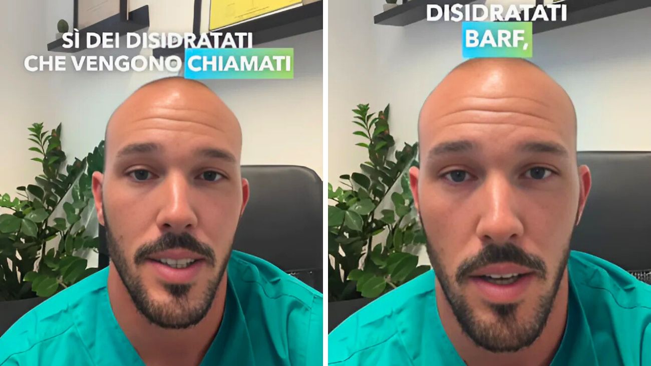 Cibi disidratati cani