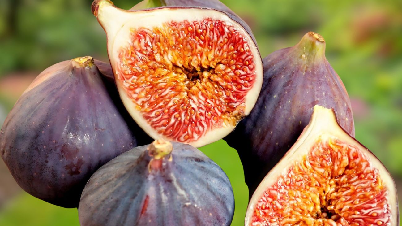 Fichi diabete