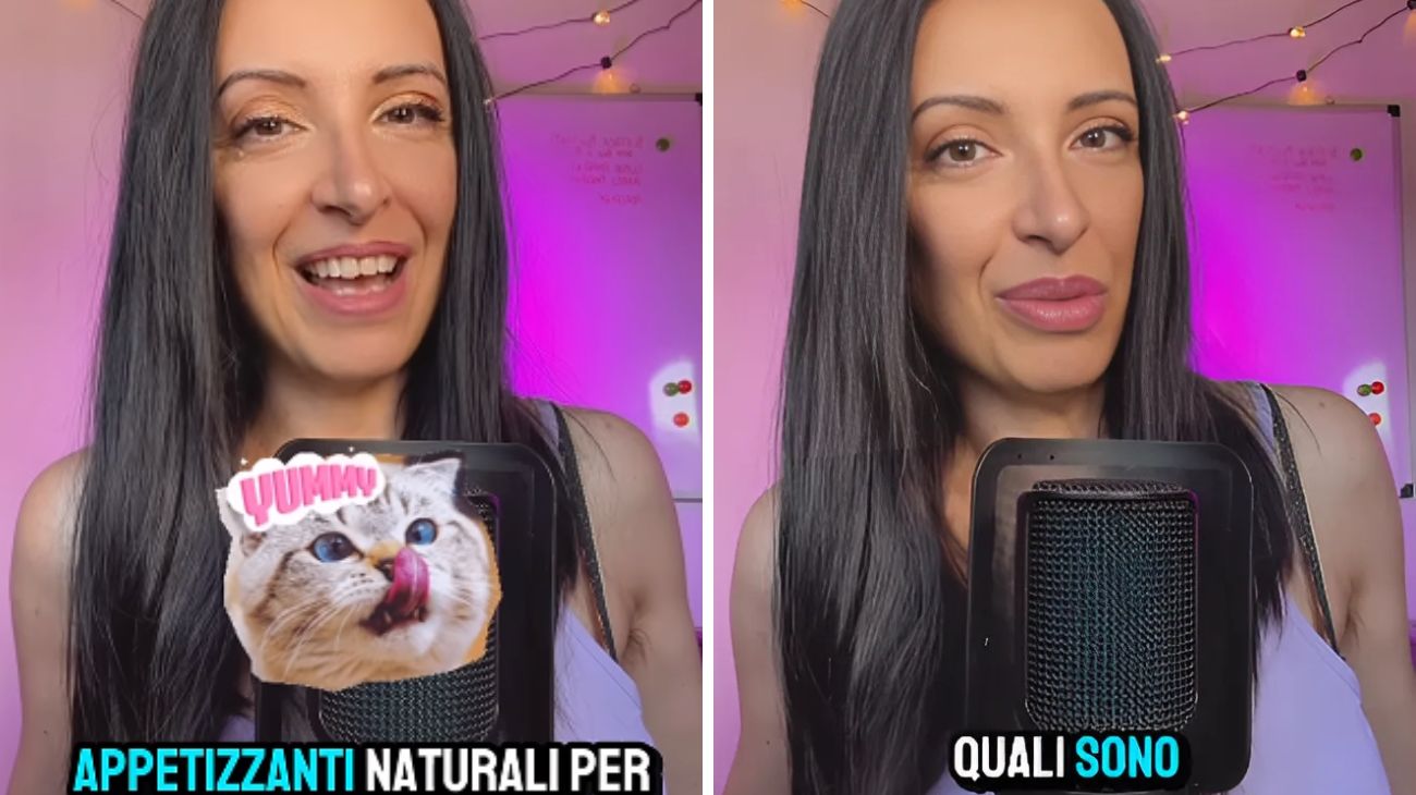 Gatti appetizzanti naturali