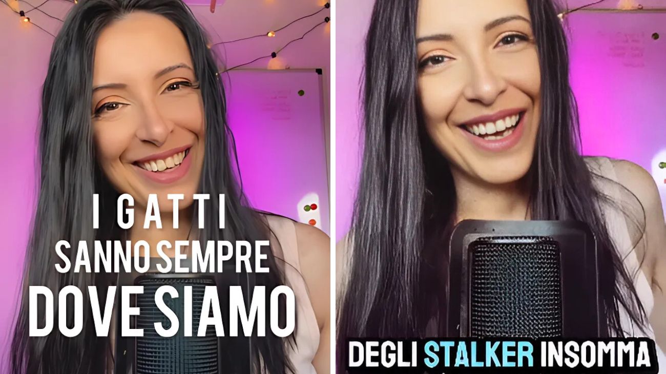 Gatti stalker
