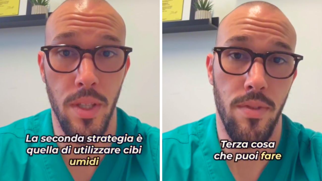 Gatto sterilizzato ingrassare