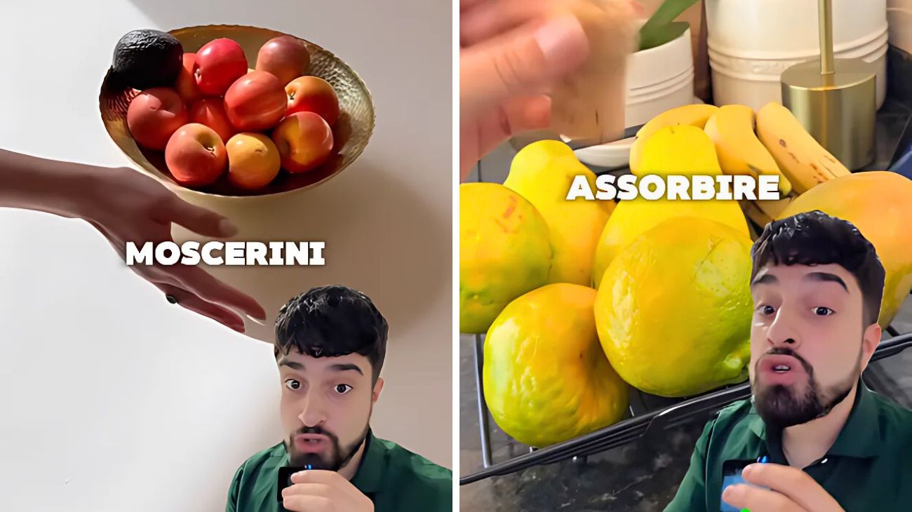 Moscerini della frutta