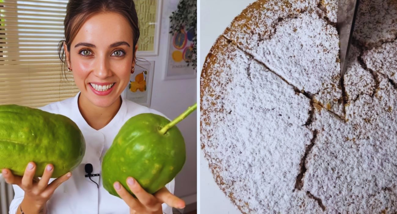 cedro