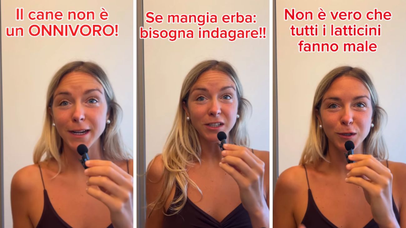 Cani e gatti