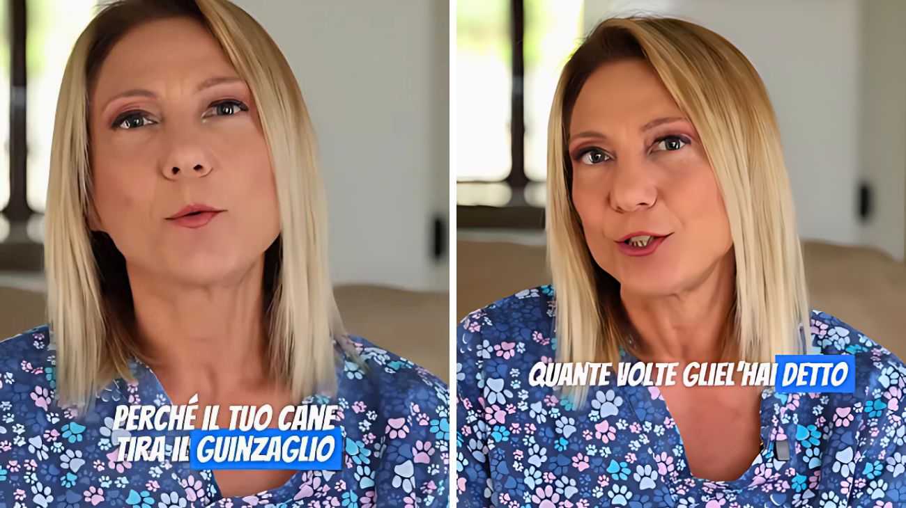 Cani guinzaglio