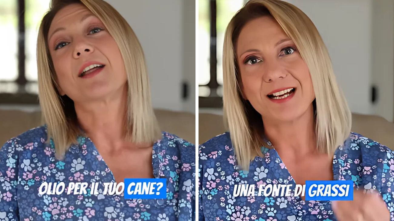 Cani olio dieta
