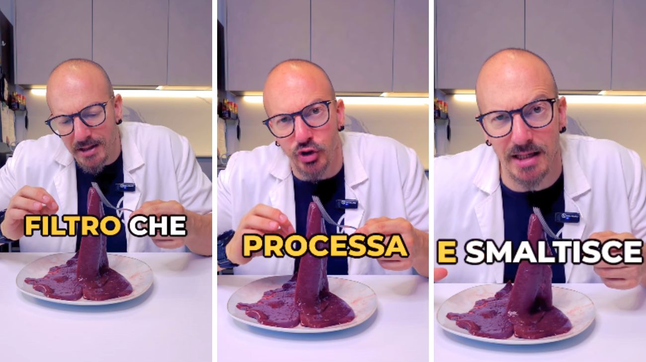Fegato animali mangiare