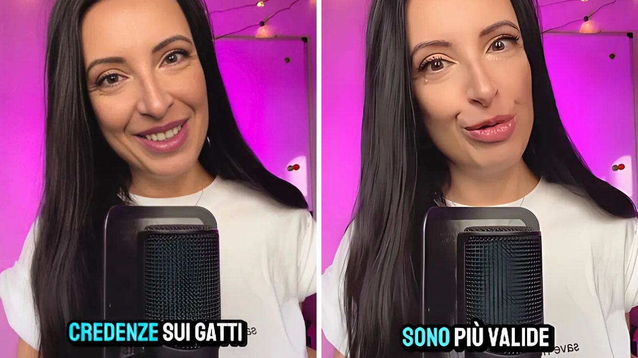 Gatti conviene