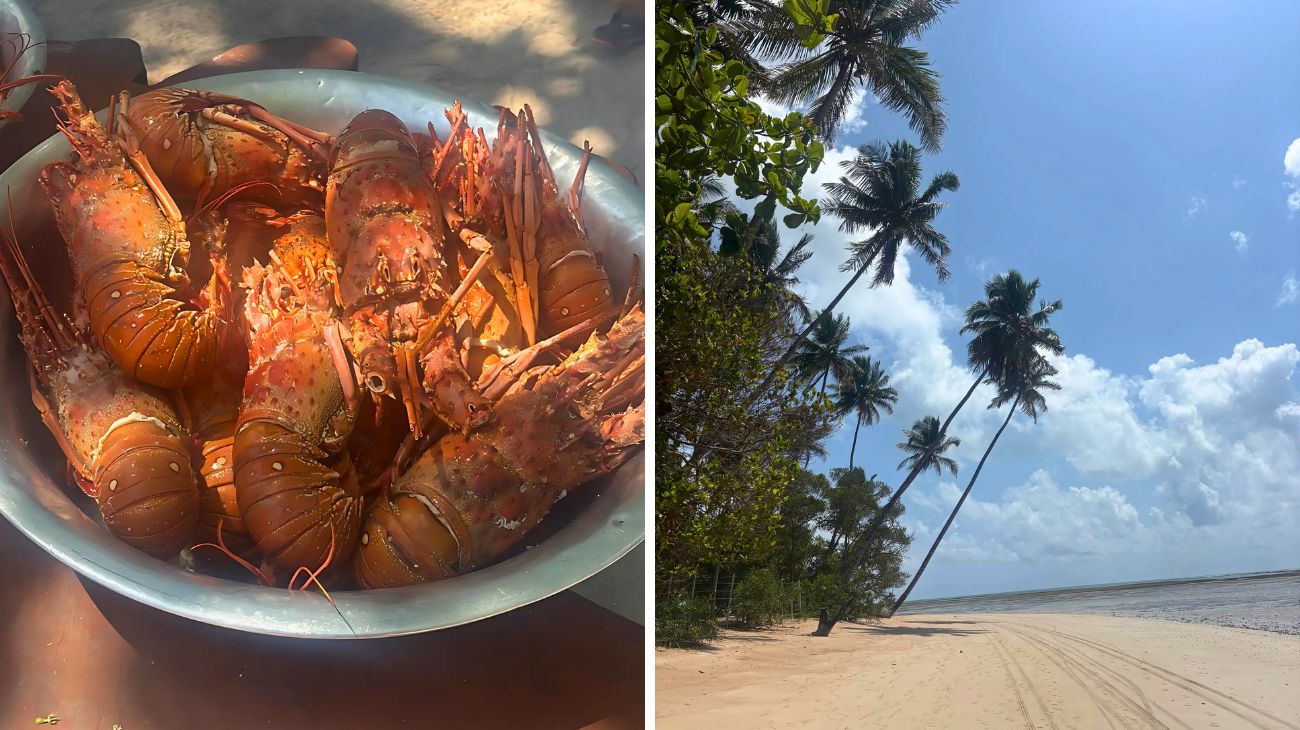 Italiana Brasile aragoste scontrino
