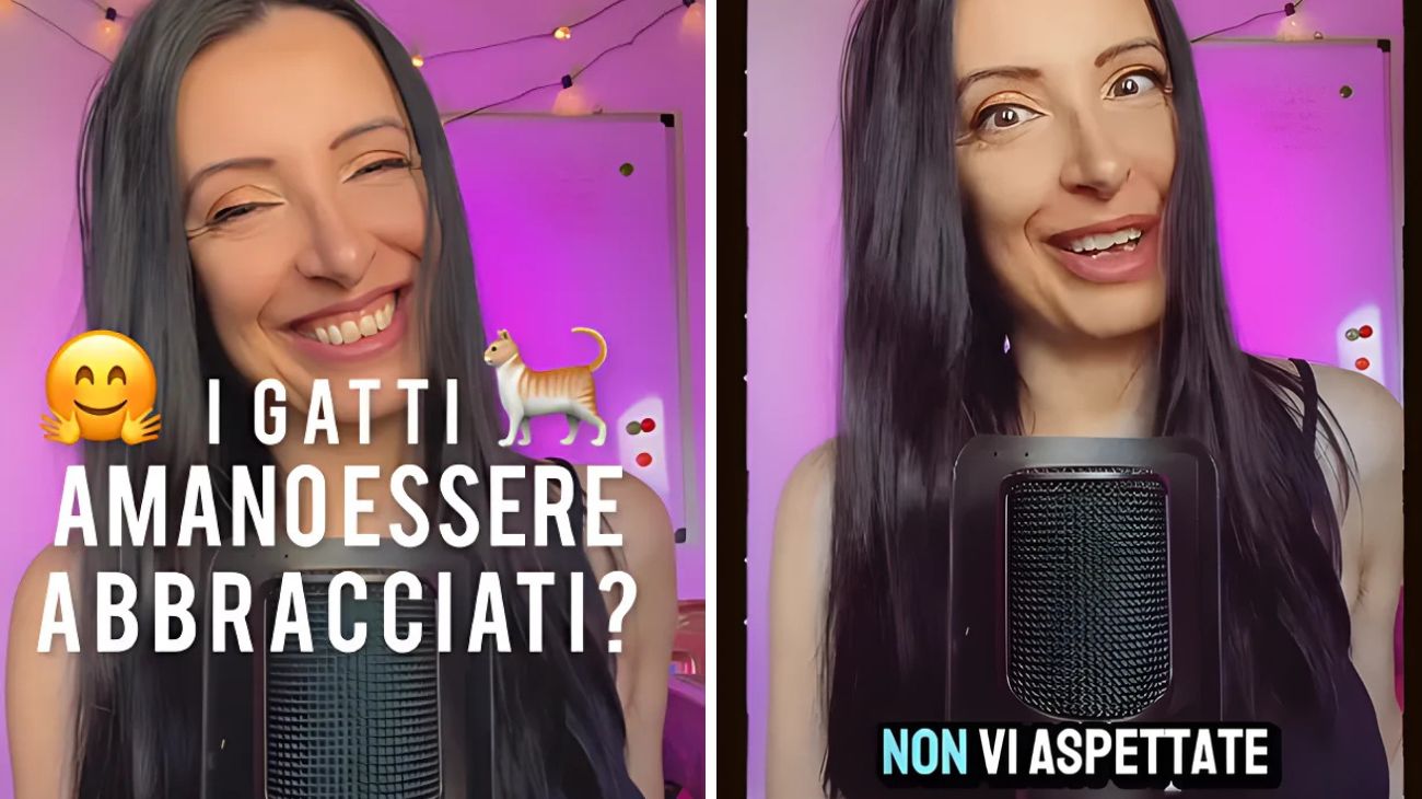 Prendere in braccio gatti