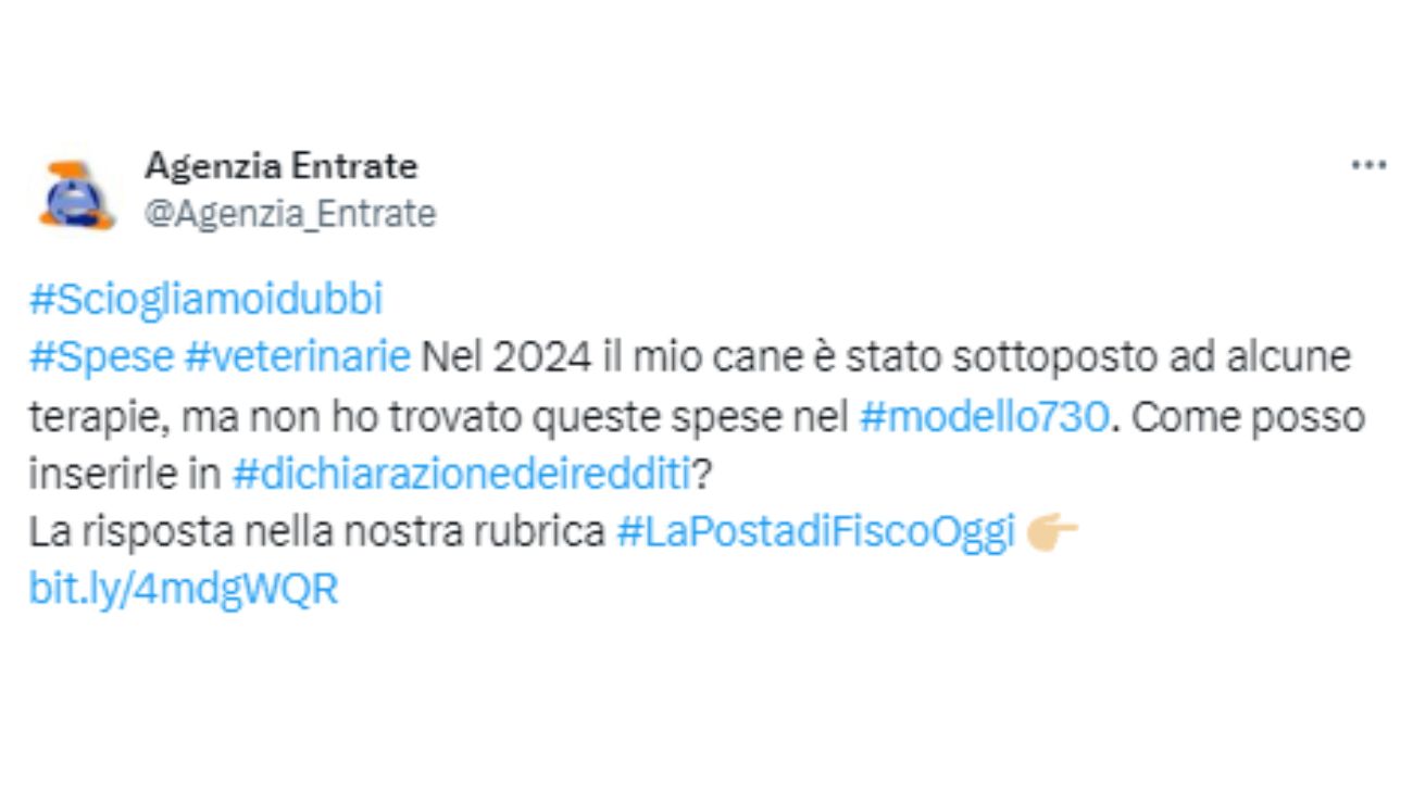 Spese veterinarie