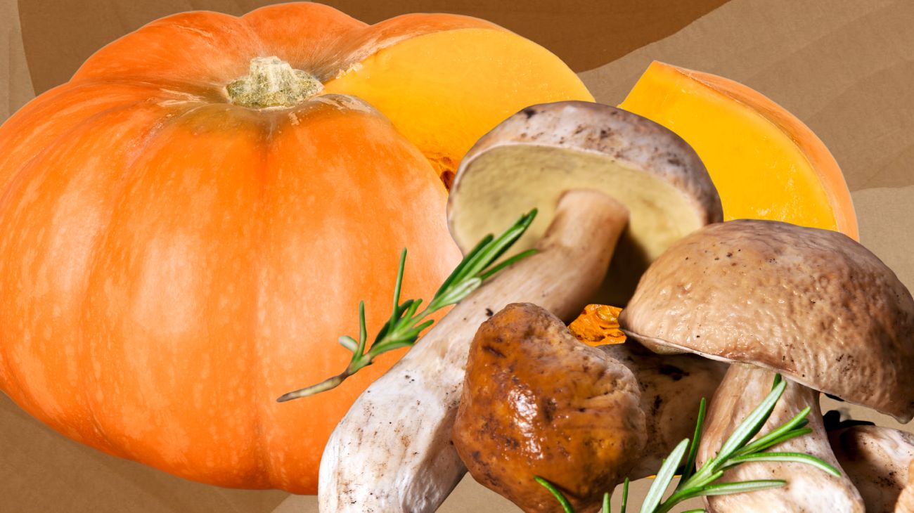 primo piatto settembre